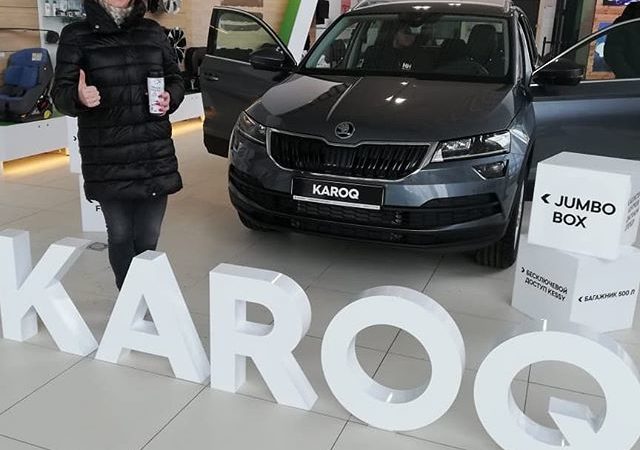 Ремонт аккумуляторов на Skoda Karoq